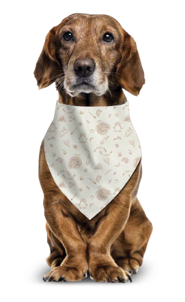 Dog Bandana